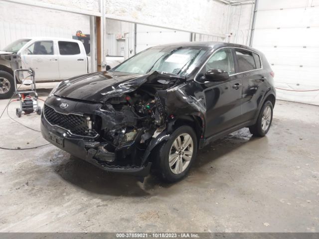 KNDPMCAC2K7613356 KIA Sportage Lx