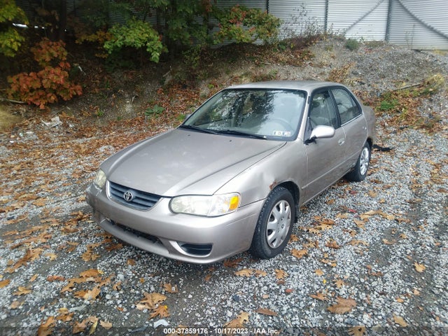 2002 TOYOTA COROLLA 1NXBR18E42Z641292 Photo 1