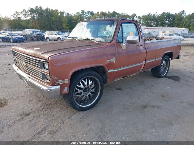 1983 CHEVROLET C10 VIN: 2GCDC14H3D1160009