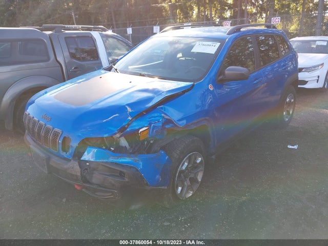 2019 JEEP CHEROKEE TRAILHAWK VIN: 1C4PJMBX4KD289697