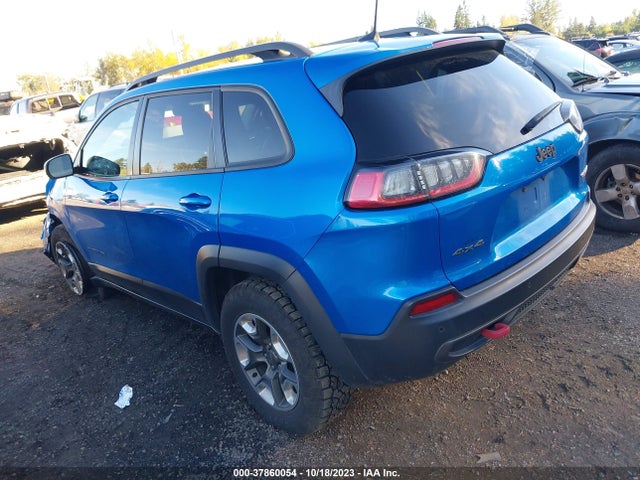 2019 JEEP CHEROKEE TRAILHAWK VIN: 1C4PJMBX4KD289697