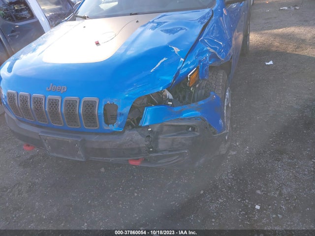 2019 JEEP CHEROKEE TRAILHAWK VIN: 1C4PJMBX4KD289697