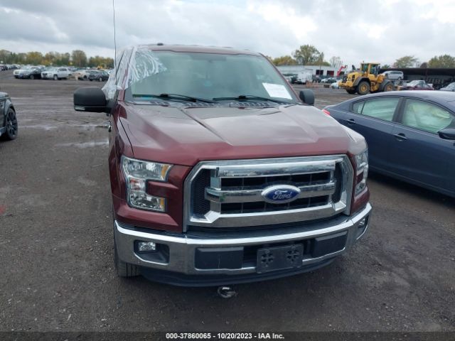 1FTEX1CG5FFD05841 Ford F-150 Xl/lariat/xlt