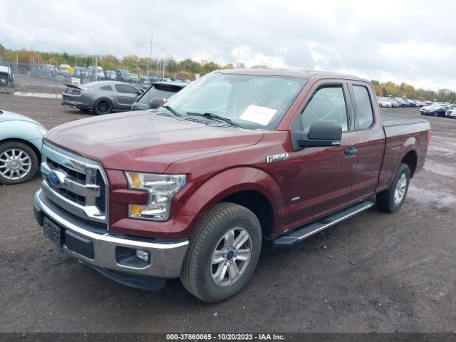 1FTEX1CG5FFD05841 Ford F-150 Xl/lariat/xlt