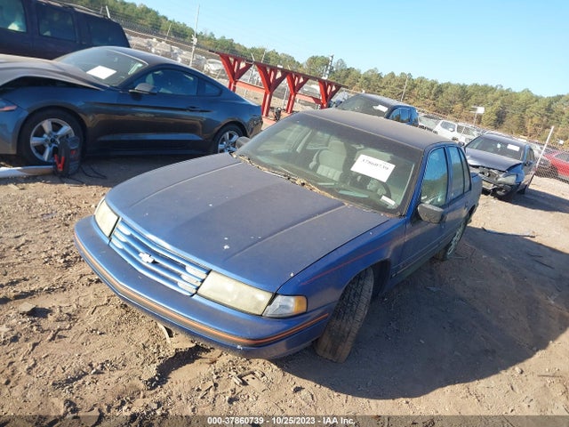 1993 CHEVROLET LUMINA EURO VIN: 2G1WN54T7P9217275