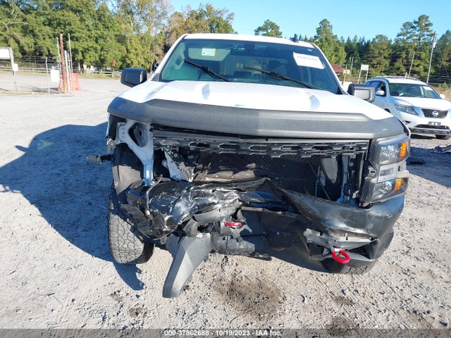 Chevrolet Silverado 1500 Custom Trail Boss 2020 1GCPYCEF6LZ327766 Image 6