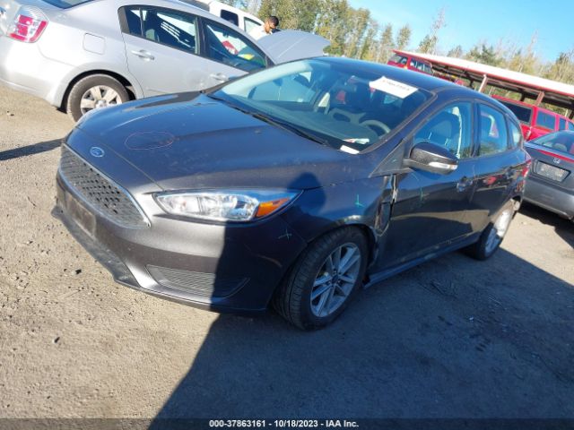 1FADP3K21FL256979 Ford FOCUS SE
