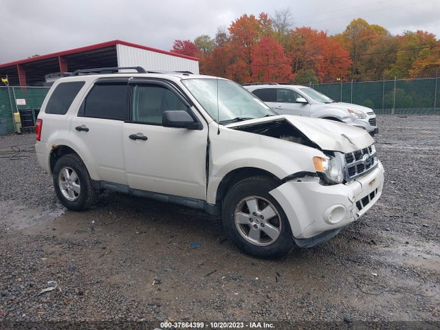 2011 FORD ESCAPE XLT VIN: 1FMCU9D74BKA54501