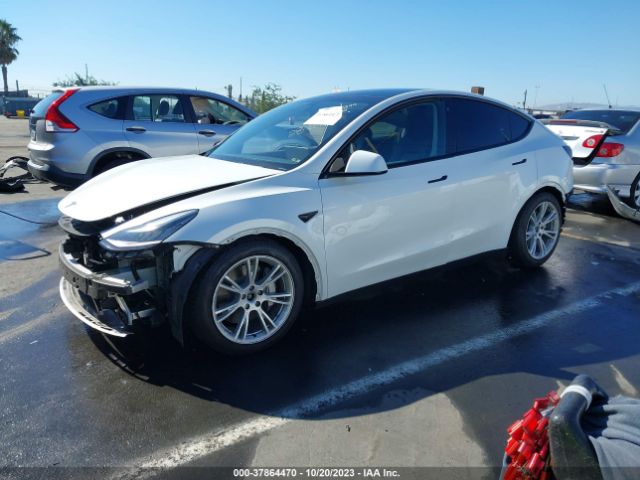 5YJYGDEE7MF146056 Tesla Model Y Long Range