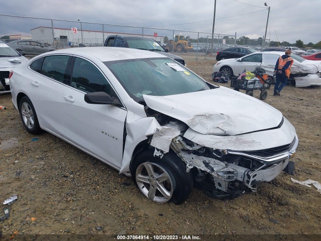 2019 1G1ZB5ST3KF213295 main image
