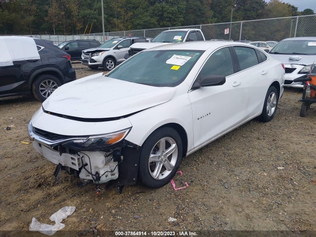 Chevrolet Malibu 1ls 2019 1G1ZB5ST3KF213295 Image 2