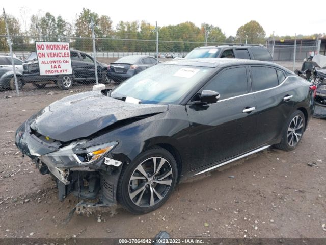 1N4AA6AP5JC401422 Nissan Maxima Platinum