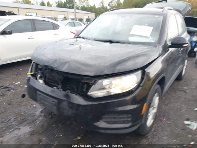 WVGBV7AX9HW504999 Volkswagen TIGUAN S