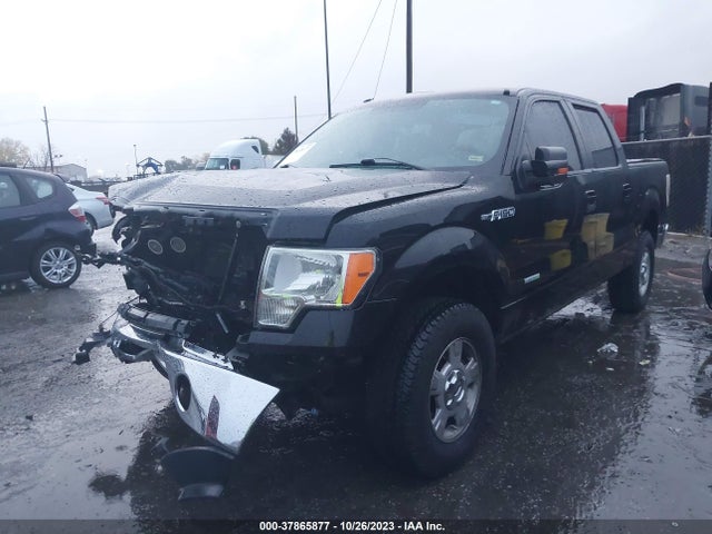 2011 FORD F-150 XLT VIN: 1FTFW1ET9BFC65288