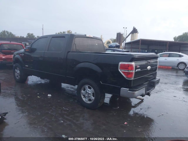 2011 FORD F-150 XLT VIN: 1FTFW1ET9BFC65288