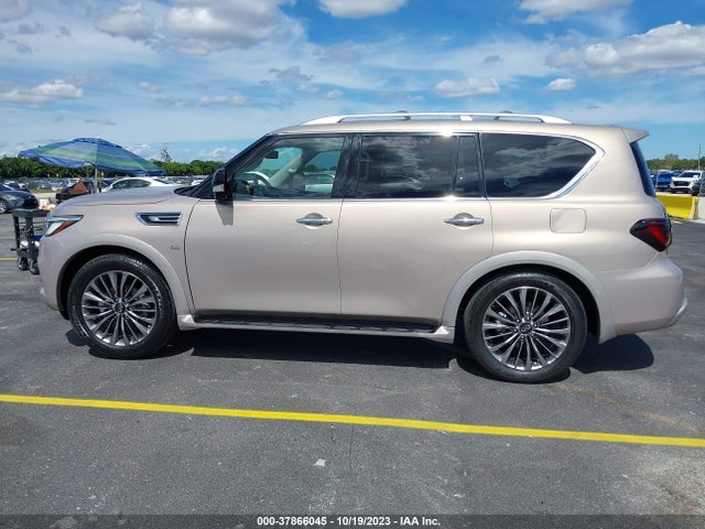 Infiniti QX80 LUXE 2020 аукцион фото