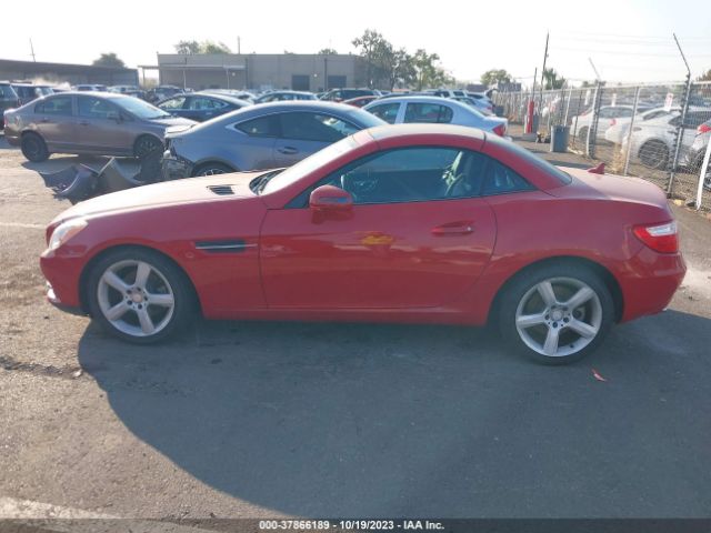 WDDPK4HA6FF099996 Mercedes-Benz Slk-class Slk 250