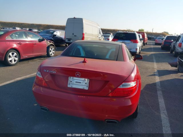 WDDPK4HA6FF099996 Mercedes-Benz Slk-class Slk 250