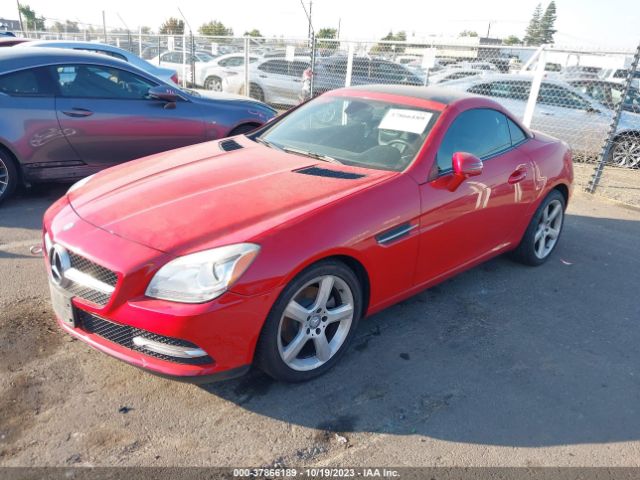 WDDPK4HA6FF099996 Mercedes-Benz Slk-class Slk 250