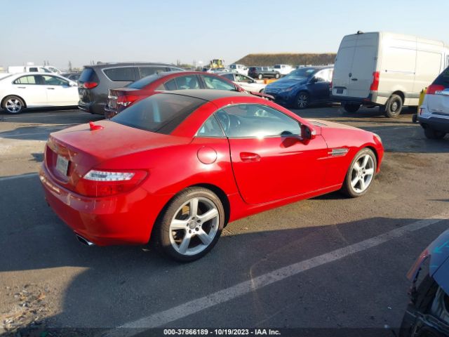 WDDPK4HA6FF099996 Mercedes-Benz Slk-class Slk 250