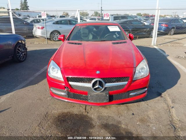 WDDPK4HA6FF099996 Mercedes-Benz Slk-class Slk 250