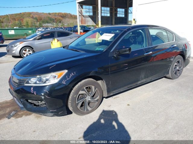1HGCR2F35GA164639 Honda Accord Sedan Lx