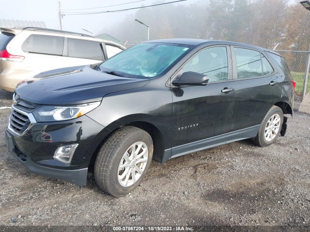 2020 CHEVROLET EQUINOX LS VIN: 2GNAX5EV3L6147207