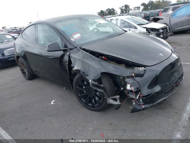2023 TESLA MODEL Y 7SAYGDEE8PA169186