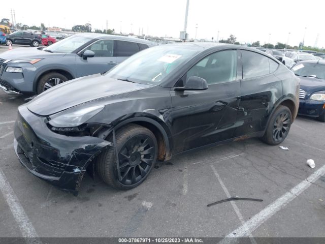 2023 TESLA MODEL Y 7SAYGDEE8PA169186 Photo 1