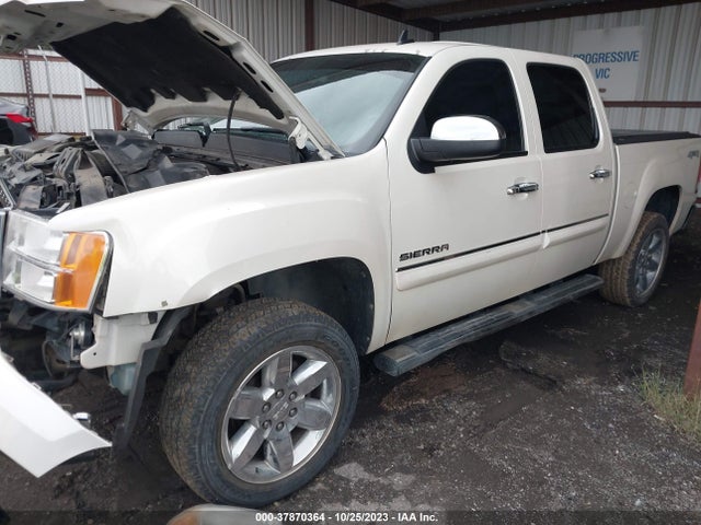 2013 GMC SIERRA 1500 SLT VIN: 3GTP2WE76DG176117