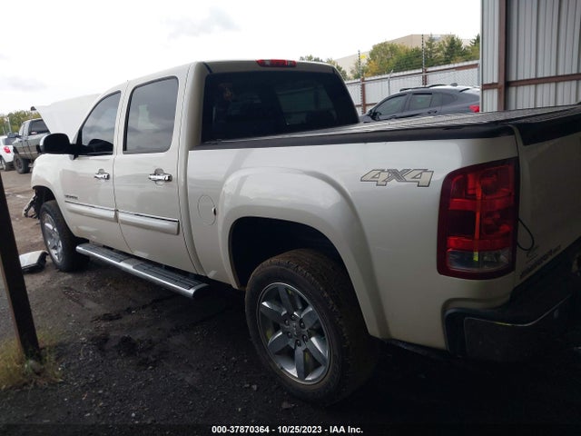2013 GMC SIERRA 1500 SLT VIN: 3GTP2WE76DG176117
