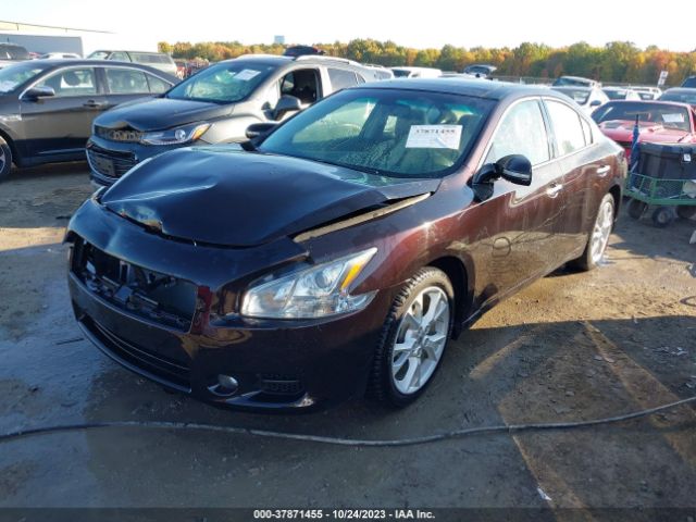 1N4AA5AP9EC913121 Nissan Maxima 3.5 Sv W/premium Pkg