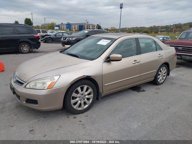 2007 HONDA ACCORD SDN EX-L VIN: 1HGCM66577A070303