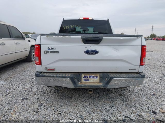 1FTEW1C83GKF44650 Ford F-150 Xlt/xl