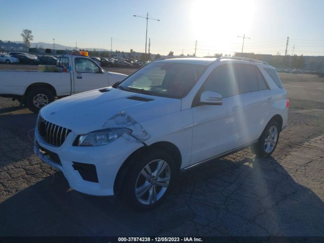4JGDA5JB8EA380391 Mercedes-Benz M-class Ml 350