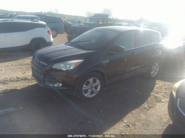 1FMCU9GX8FUB74047 Ford ESCAPE SE