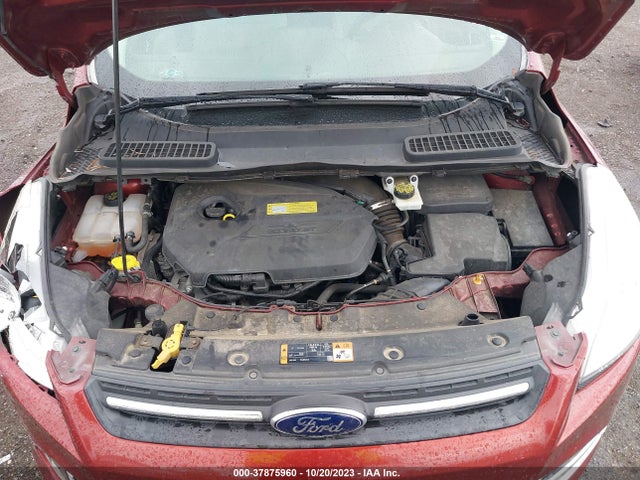Ford ESCAPE SE 2014 1FMCU0GX7EUB96034 Image 10