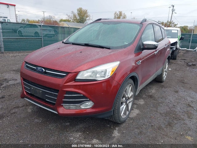 Ford ESCAPE SE 2014 1FMCU0GX7EUB96034 Image 2