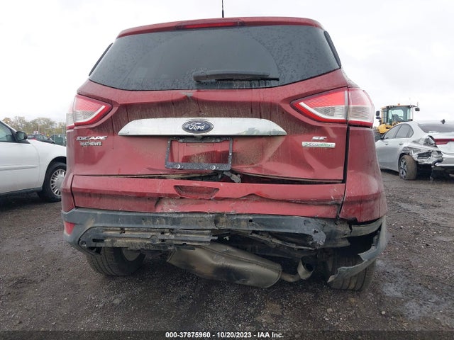 Ford ESCAPE SE 2014 1FMCU0GX7EUB96034 Image 6