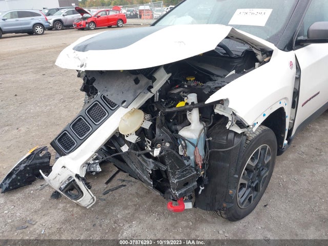 2019 JEEP COMPASS TRAILHAWK VIN: 3C4NJDDB6KT688386