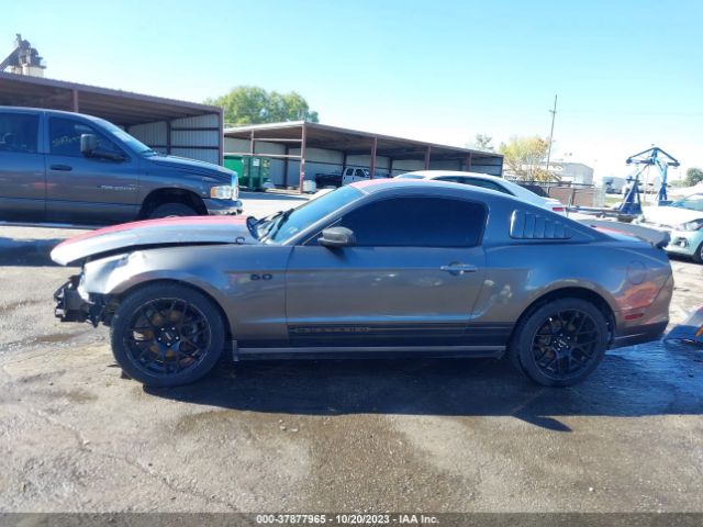 1ZVBP8AMXE5279355 Ford Mustang V6
