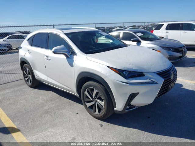 2021 LEXUS NX 300H JTJGJRDZ9M5013148