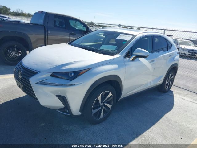 2021 LEXUS NX 300H JTJGJRDZ9M5013148 Photo 1