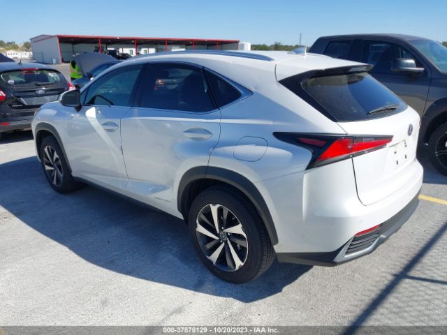 2021 LEXUS NX 300H JTJGJRDZ9M5013148 Photo 2