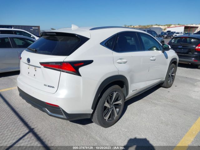 2021 LEXUS NX 300H JTJGJRDZ9M5013148 Photo 3