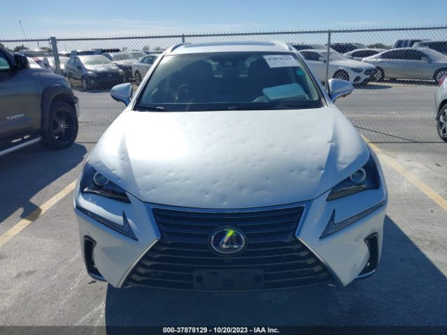 2021 LEXUS NX 300H JTJGJRDZ9M5013148 Photo 5