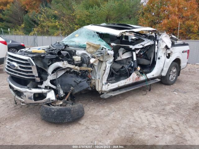 1FTEW1E81GKF62335 Ford F-150 Xlt/xl