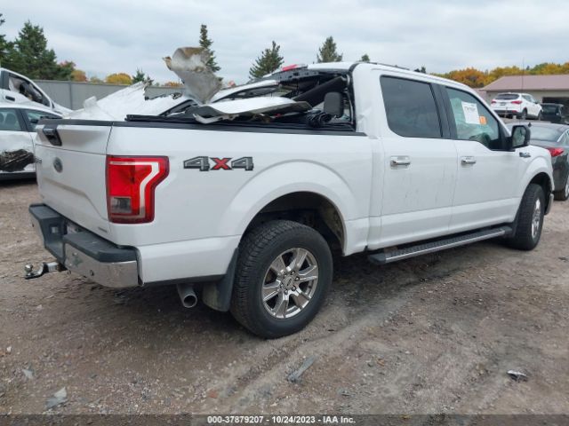 1FTEW1E81GKF62335 Ford F-150 Xlt/xl