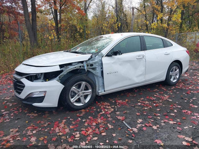 2022 CHEVROLET MALIBU LS VIN: 1G1ZB5STXNF211693