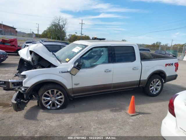 1FTEW1EF1GFD12598 Ford F-150 Xlt/xl/lariat/platinum